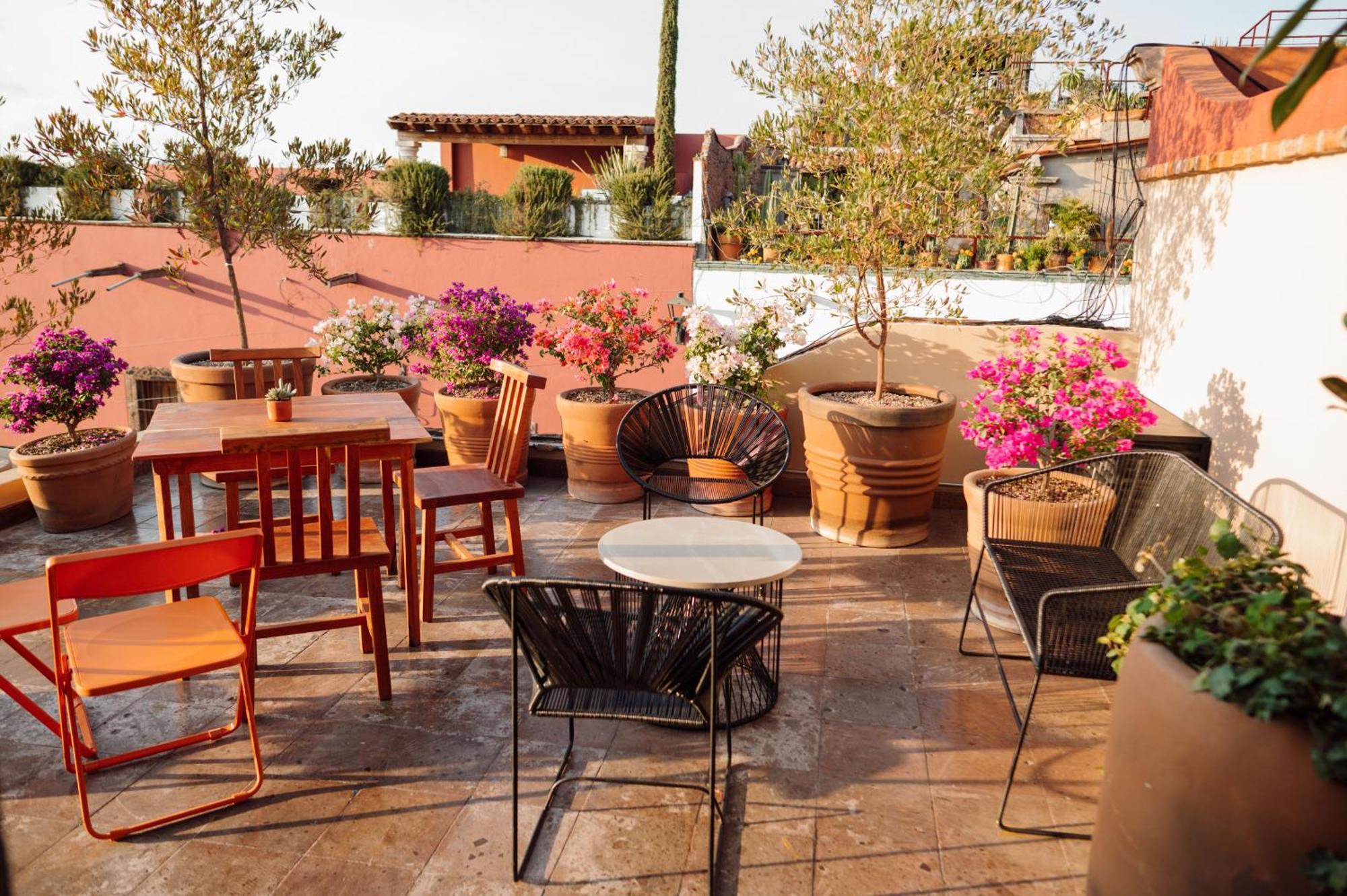 Maison Mexique Hotel Boutique San Miguel De Allende Ngoại thất bức ảnh